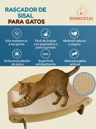 Rascador Sisal Gato 2x1 - Cama Rascador Gatos