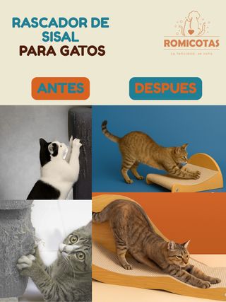 Rascador Sisal Gato 2x1 - Cama Rascador Gatos