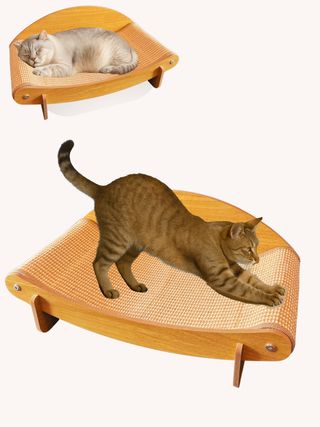 Rascador Sisal Gato 2x1 - Cama Rascador Gatos