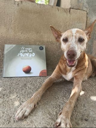 El mejor juguete del mundo