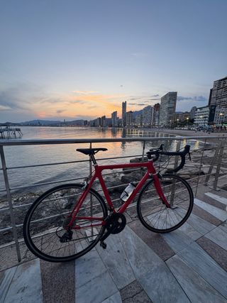 ¡¡¡BICICLETA GIANT CARBONO !!!