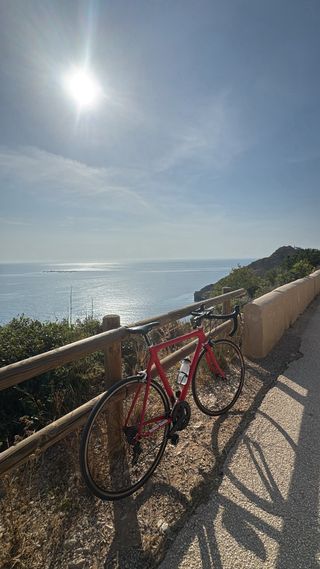 ¡¡¡BICICLETA GIANT CARBONO !!!