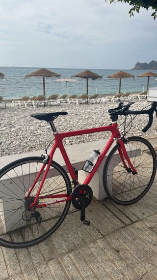 ¡¡¡BICICLETA GIANT CARBONO !!!