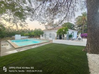 Chalet vacacional - piscina y jardín