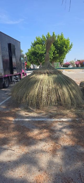 Sombrillas y pergolas de brezo mimbre cañizo espar