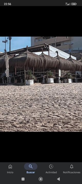 Sombrillas y pergolas de brezo mimbre cañizo espar