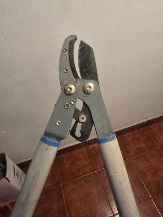Tijeras podar telescópicas
