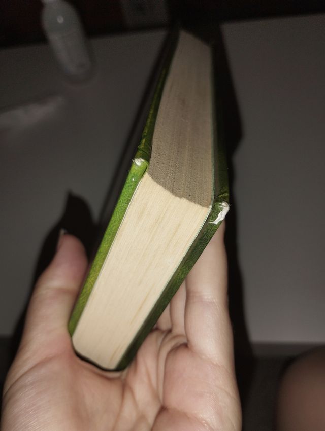 Diario de Greg 3 - ¡Esto es el colmo!