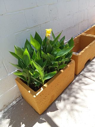 10 jardineras cemento artesanales