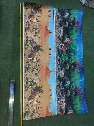 Fondos 2 poster acuario