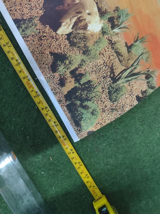 Fondos 2 poster acuario