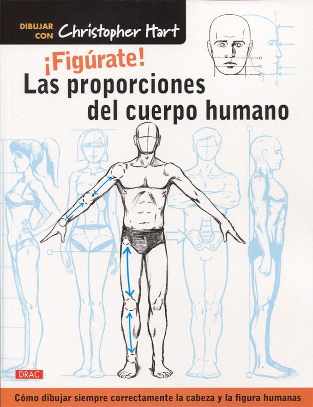 ¡Figúrate! Las proporciones del cuerpo humano: ...