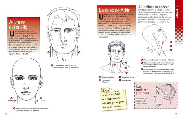¡Figúrate! Las proporciones del cuerpo humano: ...
