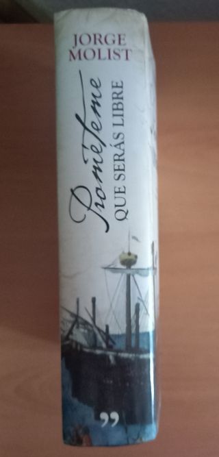 Prométeme que serás libre (TH Novela) (Spanish ...