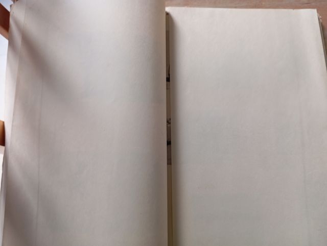 Técnica la instrucción Individual del combatiente