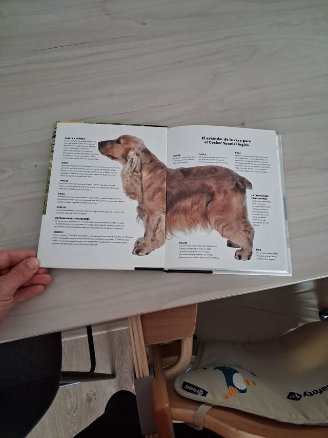 Cocker Spaniel Inglés (Excellence) (Spanish Edi...