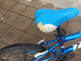Bicicleta para niño niña de 20 pulgadas 