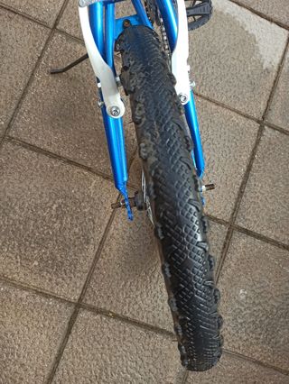 Bicicleta para niño niña de 20 pulgadas 