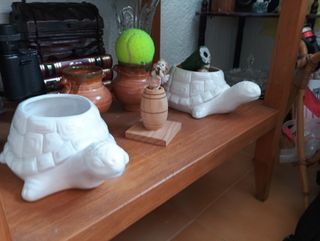 2 Jarrónes Tortuga Cerámica Blanco