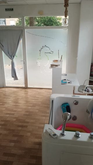 Traspaso Spa Bebés