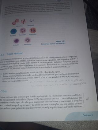 Fisiopatología General (2.ª edición revisada y ...