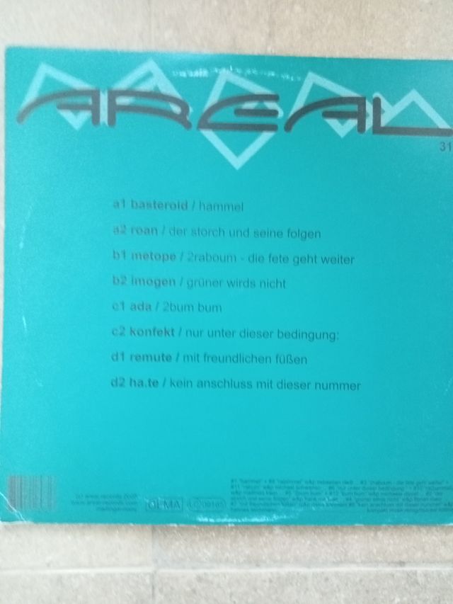 Areal 31 - Vinilo Electrónico