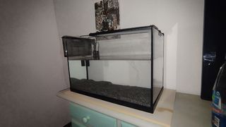 Acuario + accesorios + filtro