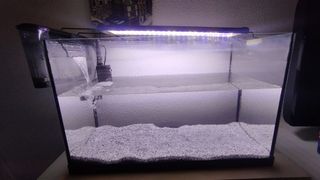 Acuario + accesorios + filtro