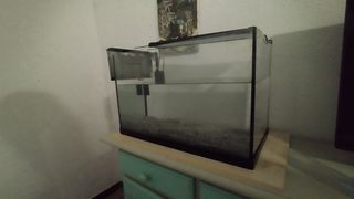 Acuario + accesorios + filtro