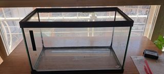 Pecera de cristal negra