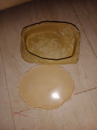 Comedero bebedero reptiles