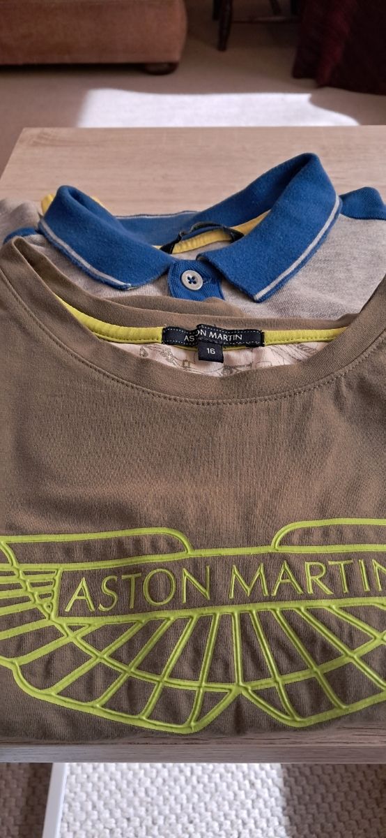 Polo y camiseta  Aston Martin niño 16 años
