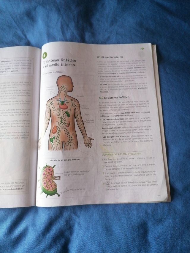 Biología y Geología 3.