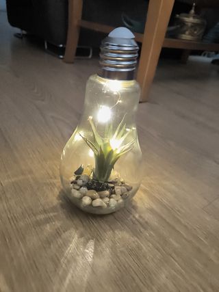 Planta en bombilla decorativa