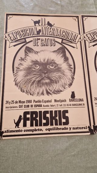 2 Pósters Exposición Internacional Gatos