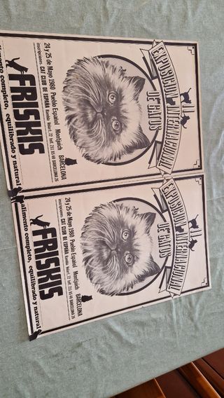 2 Pósters Exposición Internacional Gatos