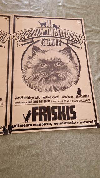 2 Pósters Exposición Internacional Gatos