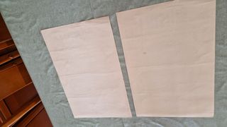 2 Pósters Exposición Internacional Gatos