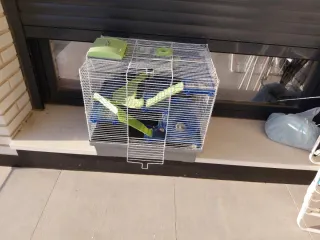 Jaula hamster blanca y verde