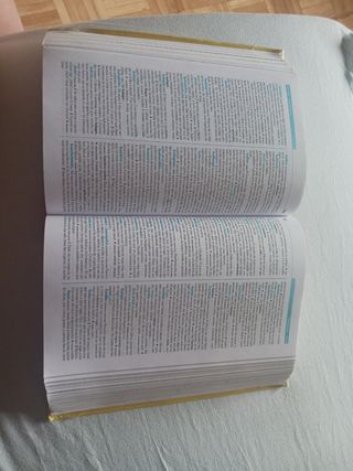 Diccionario Espasa de Primaria