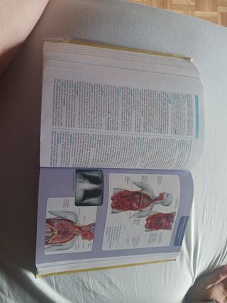 Diccionario Espasa de Primaria