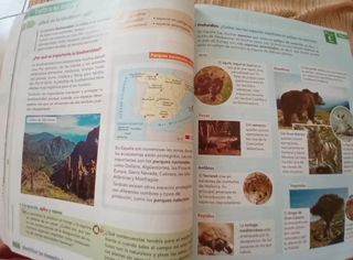 Conocimiento del medio 5 primaria 