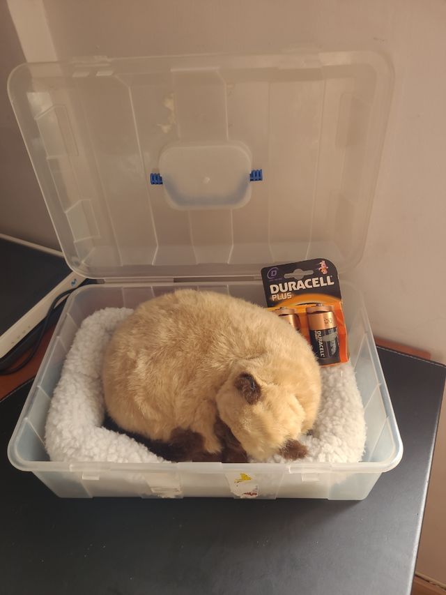 REBAJADO Gato Siames - Juguete de peluche