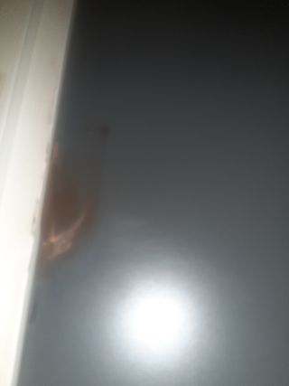 Litera infantil - Cama nido