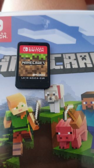 Nintendo Switch OLED + Minecraft