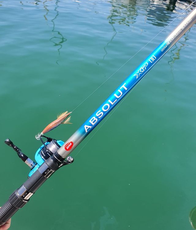 CAÑA CALAMAR, CARRETE PESCA, EQUIPO PESCA FONDEO