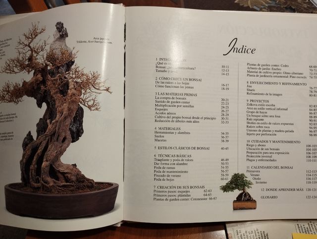 Bonsai - El Gran Libro Ilustrado (Spanish Edition)