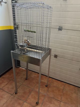 Jaula loro grande