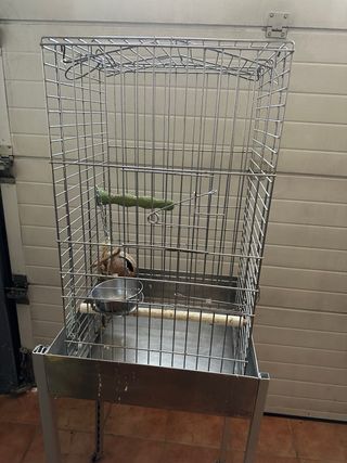 Jaula loro grande