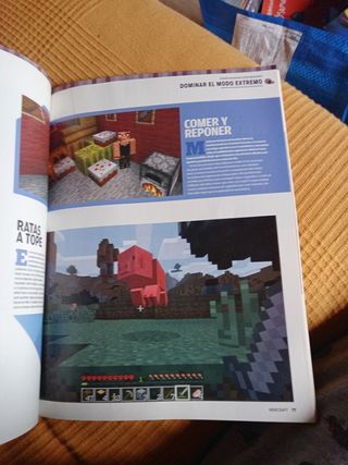 Guía Minecraft PS4-PS5-PC